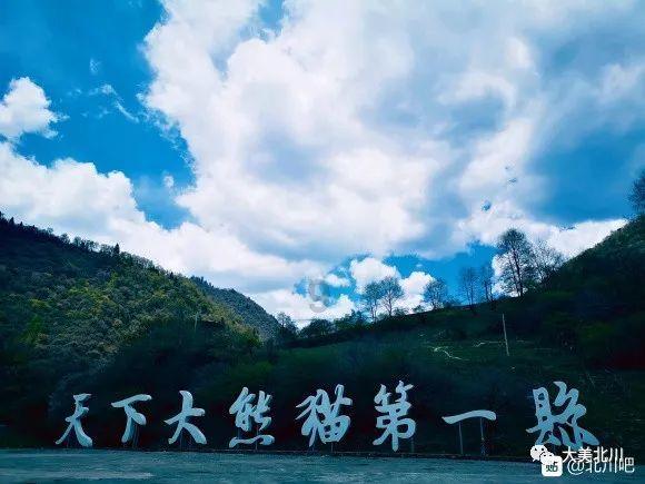 万词王