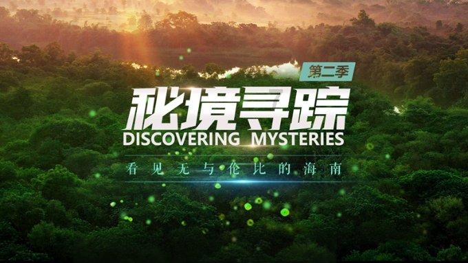 燃烧吧大脑免广告最新版