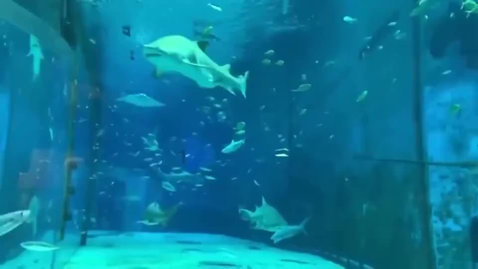 对象他是不是不喜欢我了他说让我选择别人他为什么这样说是我不够好吗我要怎么做才能让他满意喜欢呢？