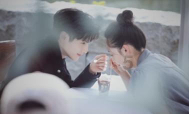 小狗救援行动选关版