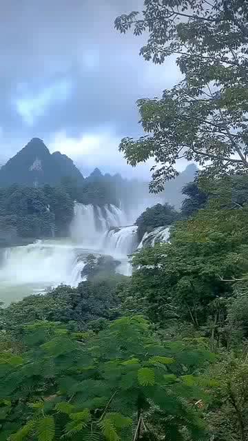 合金装备：幸存